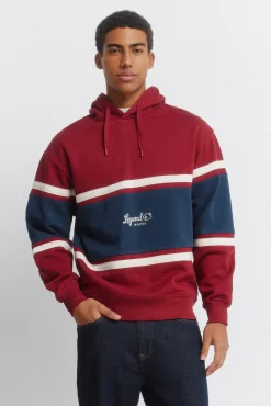 Sweat-shirt &agrave; capuche &agrave; d&eacute;coupes